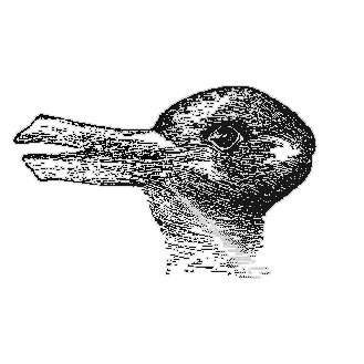 Image duck